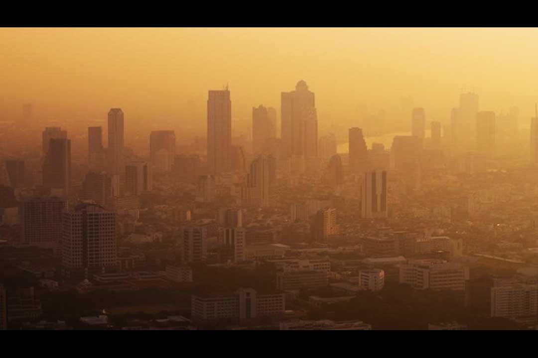 Impacts of Air Pollution on Health and the Environment
